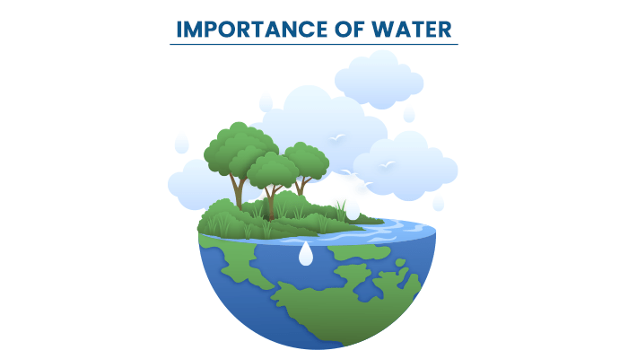 Importance of Water - List of Important Uses of Water | PW